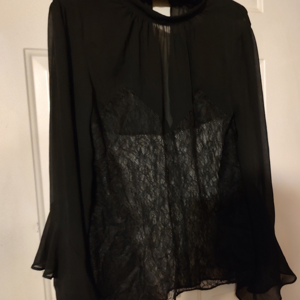🐈⬛ Divine VS Vintage Victorian Inspired Black Sheer Crepe & Lace Blouse - L - Picture 4 of 15